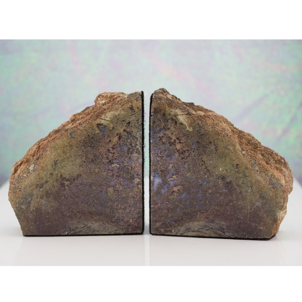 Hampton Butte, Central Oregon Petrified Wood Limb Cast Bookends