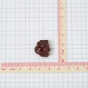 Almandite Garnet 5.04g 1pc Gem Rough GR1075P