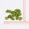 Peridot 20.31gm Gem Rough Parcel GR1076P