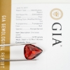 GIA Report Red Pyrope Garnet Faceted Pair Shape 10.99cts G1358354P