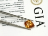 Natural Spessartite Garnet Kite Shape Gemstone GIA Report