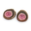 Rhodochrosite Stalactite Polished Slices 1 Pair G1290164P 