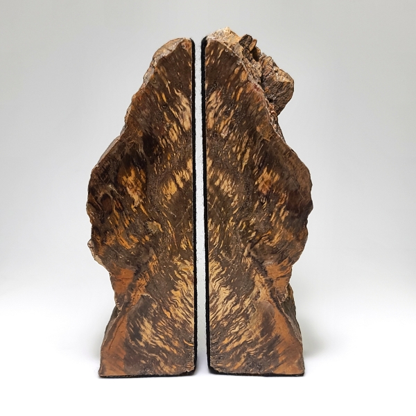 Utah Petrified Wood Limb Cast Bookends Felt Lined