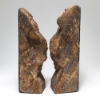 Utah Petrified Wood Limb Cast Bookends Felt Lined