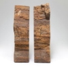 Utah Petrified Wood Limb Cast Bookends Felt Lined