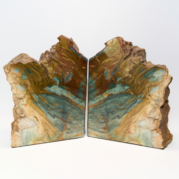 Geary Green McDermitt Oregon Petrified Wood Bookends Felt lined can be orientated in two directions.  FOR THE DESK, OFFICE, LIBRARY OR GIVE AS A GIFT!
