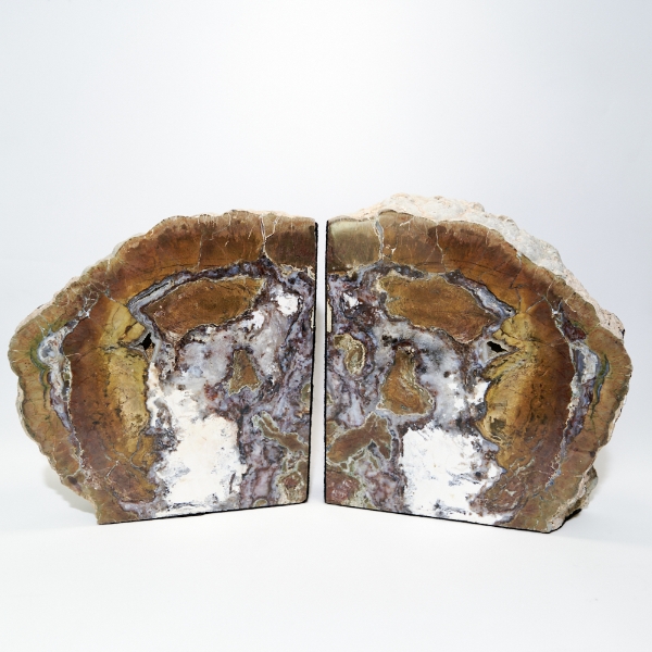 Indonesia Natural Petrified Wood Geode Bookends Can be orientated in different directions. FOR THE DESK, OFFICE, LIBRARY OR GIVE AS A GIFT!