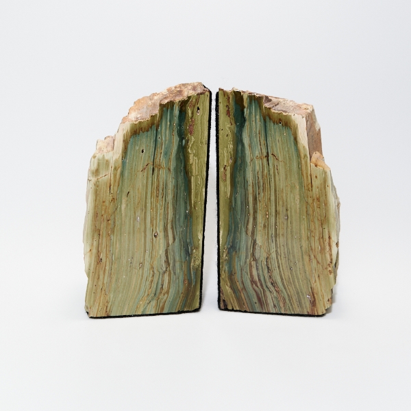 Geary Green McDermitt Oregon Petrified Wood Bookends Felt lined can be orientated in two directions.  FOR THE DESK, OFFICE, LIBRARY OR GIVE AS A GIFT!