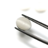 Natural Cats-Eye White Moonstone Cabochons 3 Piece Lot Chatoyant Gems